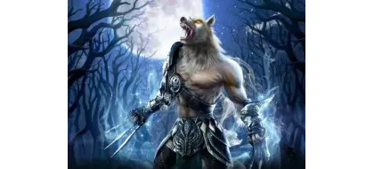 Metin2 PVP Serverlerde Açılış Günü Avantajları duyuru görseli