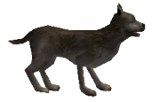 180px-Yabani_Köpek (1).png