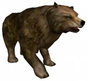 180px-Ayı.png