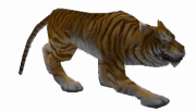 180px-Kaplan.png