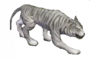 180px-Beyaz_Kaplan.png