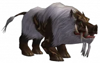Scrofa.png