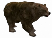 180px-Bera.png